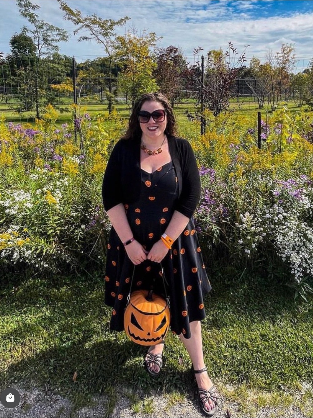 Vixen Micheline Pitt Fit-&-Flare Pumpkin Swing Dress